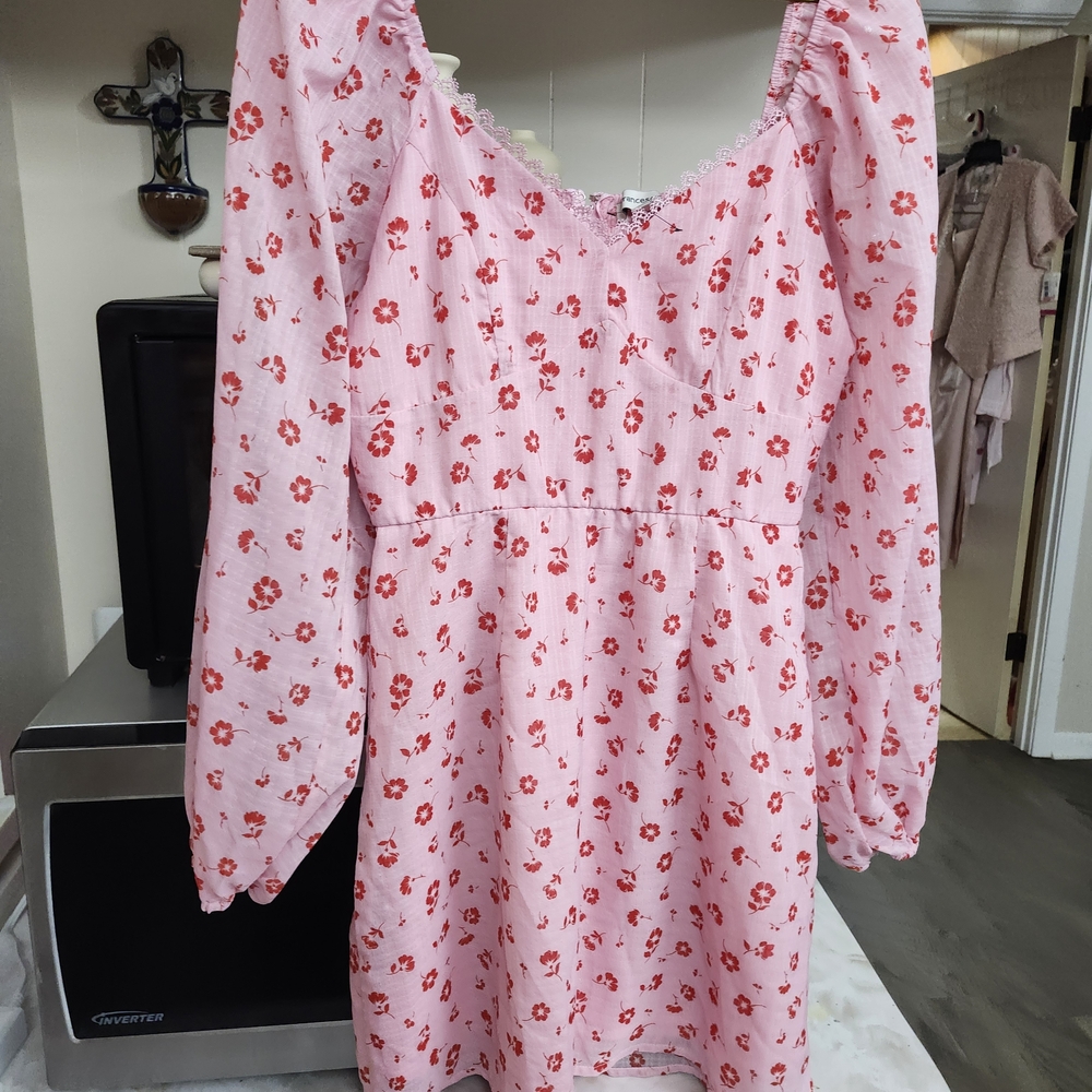 Francesca's Collections Pink Floral Dress